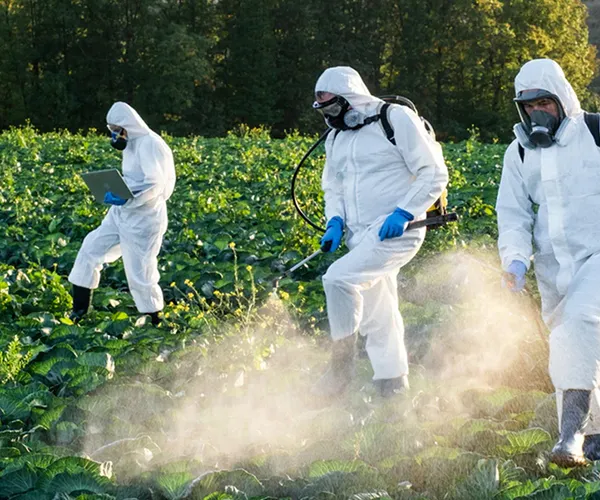 Agrochemical