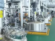 Stainless steel reactor coating